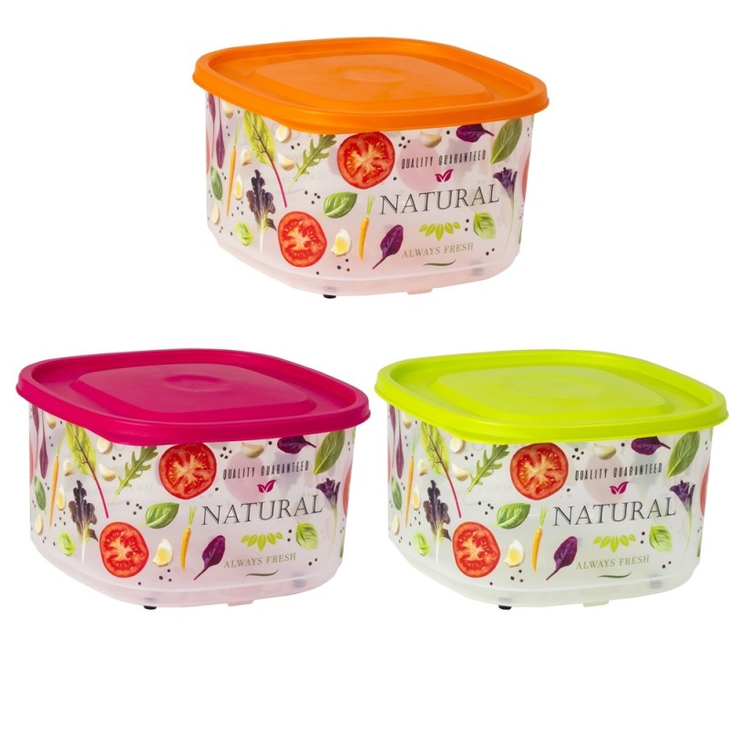 Cutie pentru alimente, din plastic, cu capac, 4.20 l, Herevin HR162058 (diverse... thumbnail 2